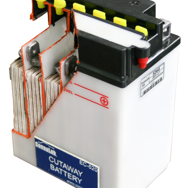 Cutaway Battery Training Aids for Automotive and CTE Classroom