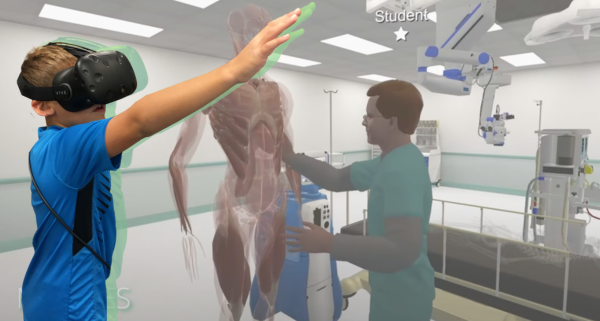 Learning Anatomy in VR